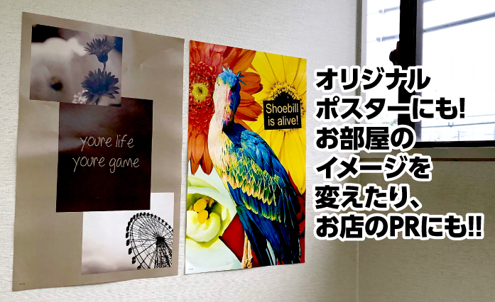 その他取り扱い商品 - デザインペーパー - デザインペーパー A3サイズ